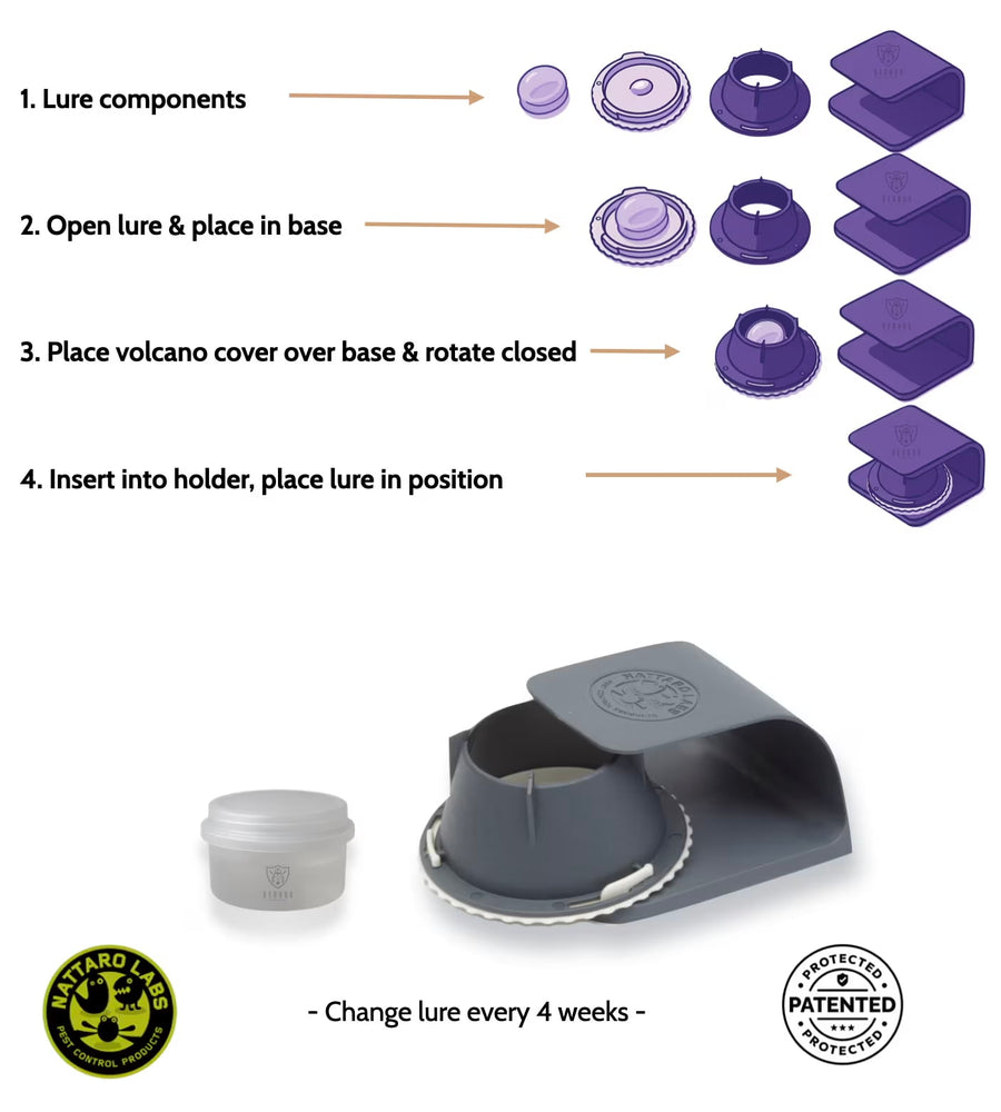 How To Use Nattaro Safe Bed Bug Lures