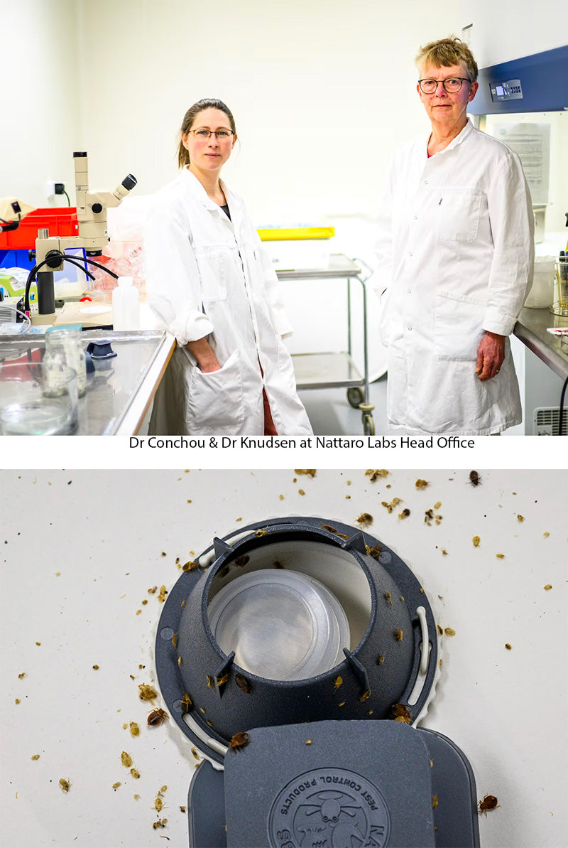 Scientific Studies & Nattaro Scout Development